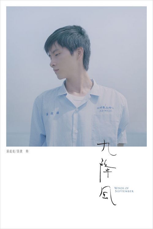 甲子園大学 Computer Science Degree Certificate